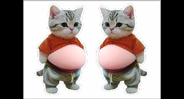Leuke 3D kattenstickers voor telefoonhoesjes, laptops en plakboeken - Speelse decoratie voor tieners en volwassenen