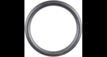 Gloria O-Ring / Zuigerring