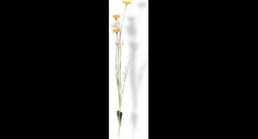 Kunst Tak Bloemen Geel Buitengewoon de Boet