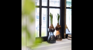 Esschert Bollenvaas geribbeld amaryllis