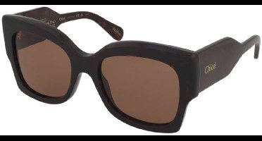 Zonnebrillen Chloe CH0252S 002