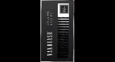 Volume Lashes 005 D 6-13 mm False Eyelashes