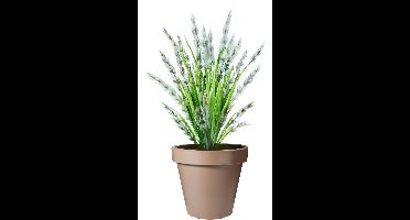 Pro Garden Bloempot - mokka bruin - rond - D30 cm - kunststof - plantenpot - tuin buiten