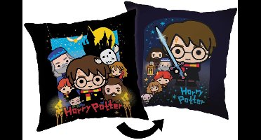 Harry Potter 'friends' sierkussen 40 x 40 cm