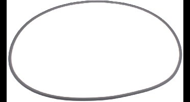 KARCHER - Ronde riem Ø 8 X 1460mm - 63484340