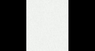 Behang - Lichte Betonlook - Glad - Minimalistisch - Rust - Design - Architectonisch - Woonkamer - Slaapkamer