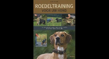 Roedeltraining voor uw hond