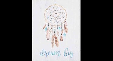Canvas afbeelding LED Light Up Dream Big Dreamcatcher Wit