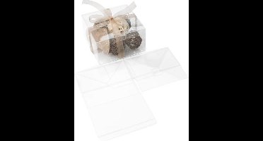 Plastic Doosjes 13,7x13,7x7,6cm Voedselveilig Autolock Bodem (25 stuks)