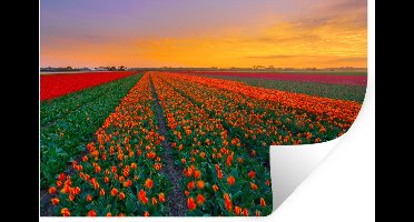 Muurstickers - Sticker Folie - Tulpenvelden in Zuid-Holland - 30x20 cm - Plakfolie - Muurstickers Kinderkamer - Zelfklevend Behang - Zelfklevend behangpapier - Stickerfolie