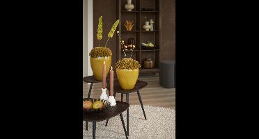 Light & Living Salontafel Viejo Hout en metaal, Set van 3 stuks - Donkerbruin - Organisch