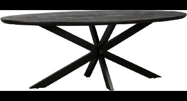 Eettafel Colorado ovaal mangohout 200x100 cm - verjongde rand - Zwart