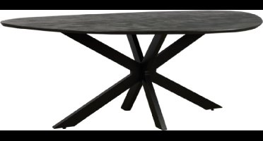 Eettafel Kiezel mangohout met facetrand 240x130 cm - organische vorm - zwart