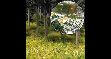 Busch - Starter-kit Wald & Wiese H0 (Bu6043)