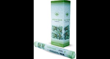 Green Tree - white sage - wierook -hexa - doos 6 stuks