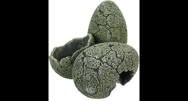 Aqua Della Eieren - L - Default