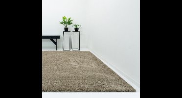 Vloerkleed Xilento Pleasure Leembruin | 170 x 230 cm