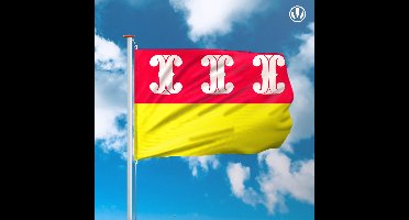 Vlaggenclub Vlag Wijk Bij Duurstede - Mastvlag 150x225cm - Duurzaam & Kleurecht