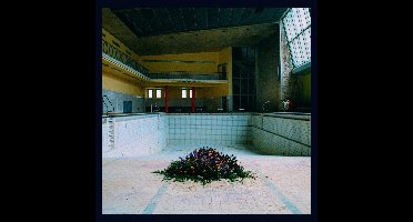 Call In The Crash Team (CD)