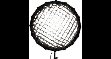 Nanlite Grid for Forza 60