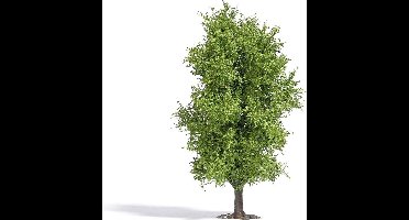 Busch - Baum 115 Mm Fruhling H0 (3/21) * - BU3721 - modelbouwsets, hobbybouwspeelgoed voor kinderen, modelverf en accessoires