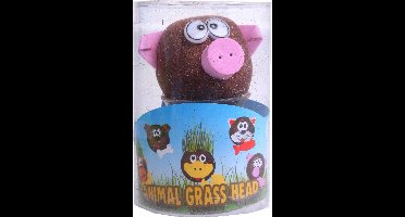 Toys Amsterdam Grasvriendjes Varken Junior 12,5 Cm Vilt Bruin