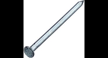 Deltafix spijkers 2,7 x 55 mm - verzinkt - platte kop - 140 gram