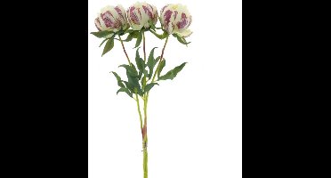 Kunstbloem Paeony Marlie Bundle Crème - 63 cm