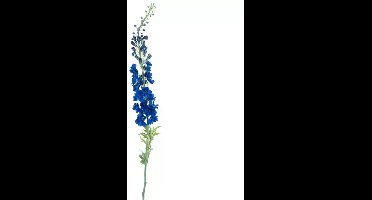 Giant Delphinium spray linus blue 137 cm
