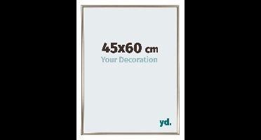 Your Decoration - Fotolijst 45x60 cm - Kunststof - Champagne - Annecy