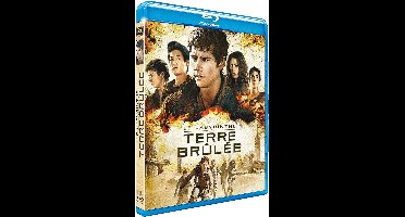 Maze Runner: Scorch Trials (Blu-ray)