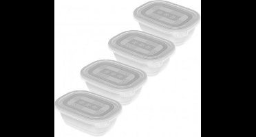 Rotho Freeze Diepvriesdozen 4x0.5L Transparant/Wit