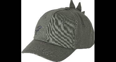 Vertbaudet Jongenspet T-rex