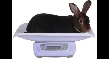 Comfort Digitale weegschaal - nauwkeurige en betrouwbare weegschaal voor kleine dieren