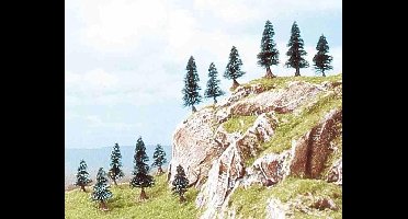 Busch - 12 Tannen 30/50 Mm N/z (Bu6220) - modelbouwsets, hobbybouwspeelgoed voor kinderen, modelverf en accessoires