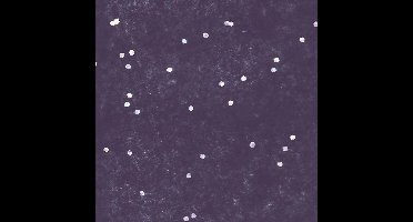 Zijdepapier - Glitters - Zilver op blauw - Budget - 50x75 cm - Pak a 240 vellen