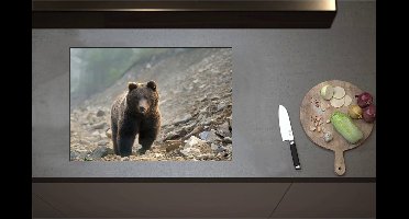 Inductieplaat Beschermer - Bruine Beer tussen de Stenen - 71x50 cm - 2 mm Dik - Inductie Beschermer - Bescherming Inductiekookplaat - Kookplaat Beschermer van Zwart Vinyl