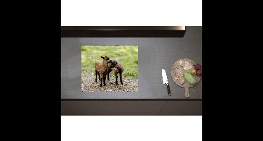 Inductieplaat Beschermer - Bruin met Zwarte Kussende Lammetjes - 60x50 cm - 2 mm Dik - Inductie Beschermer - Bescherming Inductiekookplaat - Kookplaat Beschermer van Wit Vinyl