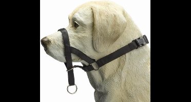 Beeztees Dog Control - Halsband Hond - Zwart - M - Snuitomtrek 32 cm