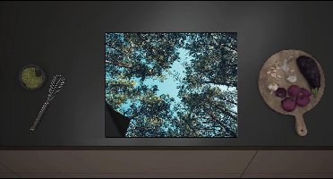 Inductieplaat Beschermer - Onderaanzicht van Bomentoppen Vol Bladeren - 60x52 cm - 2 mm Dik - Inductie Beschermer met zwarte kern