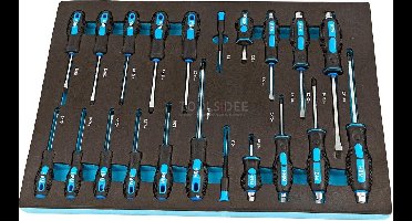 HBM 21 Delige Schroevendraaierset Foam inlay voor Gereedschapswagen
