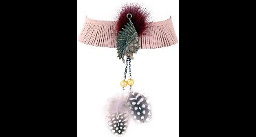 Halsketting bruin indiaan met veren