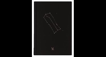 D6053-03 Dreamnotes notitieboek sterrenbeeld: tweelingen 19 x 13,5 cm
