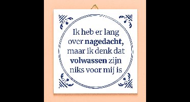 Tegeltje Ik heb er lang over nagedacht van Ditverzinjeniet