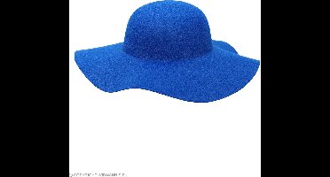 Blauwe dames flaphoed