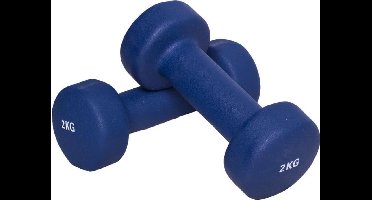 Gorilla Sports Dumbellset - Halterset - Aerobics - Vinyl - 4 kg (2 x 2 kg)