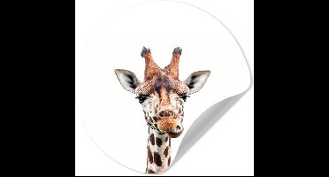 Behangsticker kind - Decoratie kinderkamers - Wilde dieren - Giraffe - Kinderen - Jongen - Dieren - 30x30 cm - Muurdecoratie meisjeskamer - Wanddecoratie