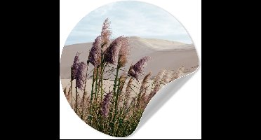 WallCircle® - Behangcirkel 30x30 cm - Muurstickers Pampasgras - Zand - Planten - Duin - Muurcirkel woonkamer - Wandcirkel slaapkamer - Kamer decoratie zelfklevend - Muurdecoratie accessoires
