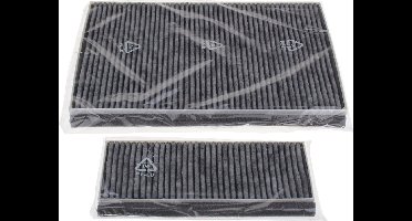 BOSCH - CleanAir Plus koolfilter (vervanging) - 11041790