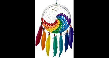 Dromenvanger wave regenboog / wit 22 cm
